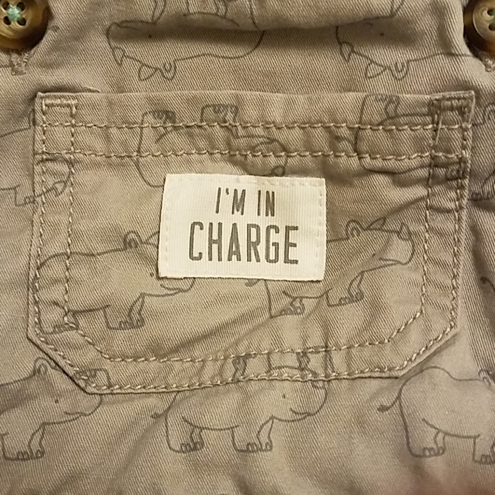 Overalls - Picture 3 of 4